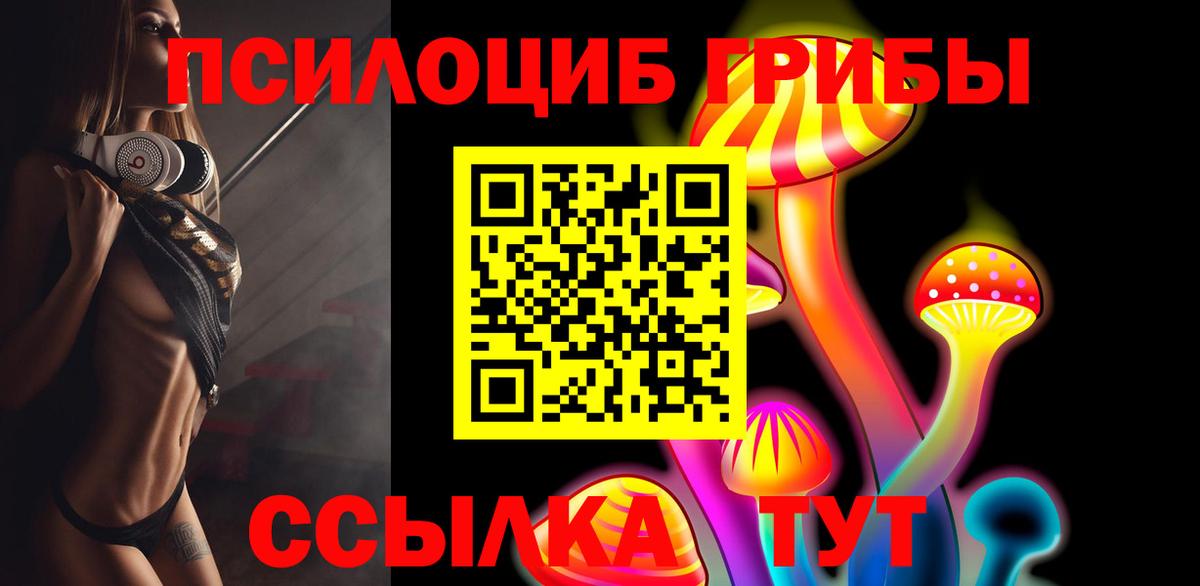 Псилоцибиновые грибы прущие грибы Абакан
